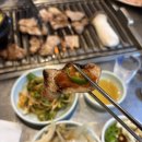 마포통연탄구이 | 부산 야장 노포 로컬 맛집 { 마포통연탄구이 }