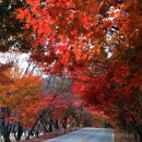 청정한우마을 이미지