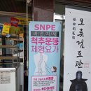 SNPE 바른자세 척추운동 | [서울/구로] 수카건강플러스센터에서 SNPE 바른자세척추운동 체험 후기