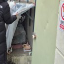 노원-현장-1440 | 노원 CCTV 설치 사례｜개인 PT샵 CCTV 1대 설치 + 건물 입구·고양이 급식소 모형 CCTV 시공 후기