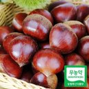 마인 쇼핑하우