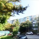 새과천공인중개사사무소 이미지