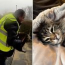 (주)데일리랜드 이미지