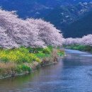 고향의 봄 이미지