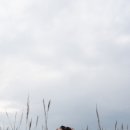 술람미 헤어