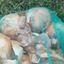 옥수농산 이미지