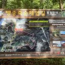 맹종죽순체험길 이미지