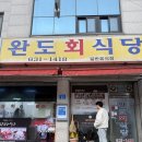 찐짜식당 | 🐟하루 4시간만 여는 속초 물회 1등 맛집 🔥새벽 6시 웨이팅🔥 완도회식당 내돈내산 리얼후기 💙