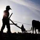 가천다랭이마을 이미지