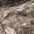 대상농장 이미지