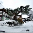 초밥천국 이미지