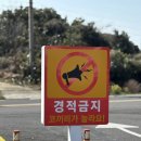 점보충전소 | [제주도]아이랑 가기 좋은 이색 체험, 점보빌리지🐘 후기
