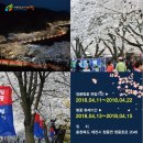 제천 청풍호 벚꽃축제 (4.11~4.22) 이미지