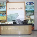 도동약업사 이미지