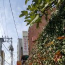 미미영양돌솥밥 이미지