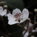 한양수자인 사가정파크 이미지