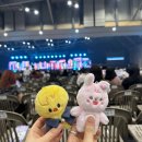 이정모바일 | 2026 데이식스 10주년 부산 콘서트 막콘 DAY6 The DECADE 벡스코 구역별 시야 정리