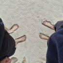 파동헬스 | 양자테라피바디관리 하는 표선 청담아로마 표선본점 아로마마사지 체험후기