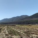 외산 무량사 부도군 이미지