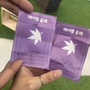 지일농장 | 메이플 행사 -메이플 팬페스타- 후기