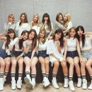 우프 이미지