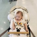 이마트24문화 | 안산 이마트 문화센터, 6개월 아기의 24년 가을 도레미팡팡 첫날 후기
