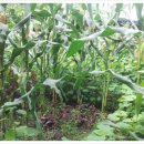 사내골농장 이미지