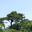 황매콩마실 이미지