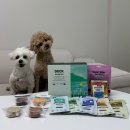 도담건강식품 | 강아지생식,화식 기호성좋은 포옹 추천 솔직후기