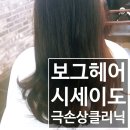 율전동 보그헤어 수원성대점 극손상 시세이도클리닉 후기 (feat.인나쌤)
