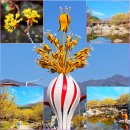 장수가야상징조형물 | 2026 구례 산수유축제 총정리 구례 산수유마을 만개 절정 후기 - 축제 끝나고 가야 더 좋았던 이유(3/23)