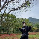 고창동호 뚱이네슈퍼 | 전북여행,고창 동호해수욕장에서 캠핑/노을카페/선운사 방문