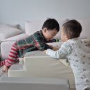 (주)뉴가나다 김포영업소 | 35개월 육아일기🎄혼자세수하기,트리사냥,세번째 크리스마스,겨울방학