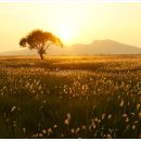 화성1리경로당 이미지