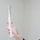 뽀드득치과 네이버블로그