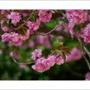 운서초등학교 이미지