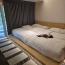 젠 하우스 | 플로팅웨일 가평 젠 스파 하우스 202호 아기랑 가기 좋은 펜션