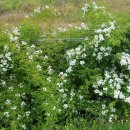 수원-0400 이미지