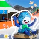 인제군체육회 | 2026 영양 꽁꽁 겨울축제, 화천보다 썰매 3배 더 타는 법 &amp; 주차 꿀팁 (대구 근교 추천)