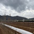 신풍농장 이미지