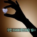 에스앤엠(S&M)