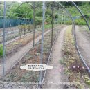 승리농장 이미지