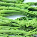 한스메디팜 이미지