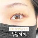 아이블링 - 김포시 | [춘천속눈썹펌] 춘천 후평동 속눈썹펌 전문 '블링아이' 1:1 맞춤 LC컬 후기