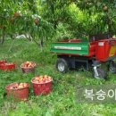 신선농장 이미지