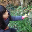 한옥목장 이미지