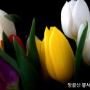 판단(判斷)(비판) 에 관한 예화 모음 이미지