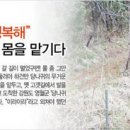 당나귀타는원시마을 이미지