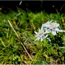 무지지천 이미지