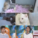 김재윤농장 이미지